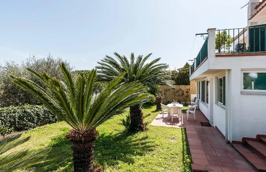 Macondo B&B-1